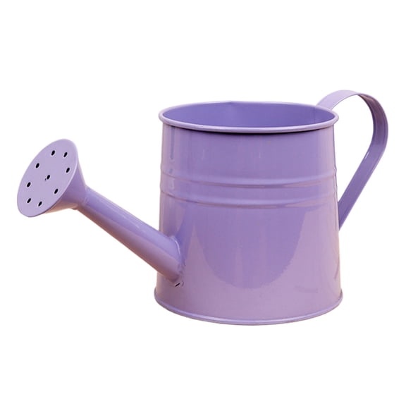 Watering Can for Home Garden Outdoor Indoor Ergonomic Handle Durable Metal Construction Ideal for Watering and Pots