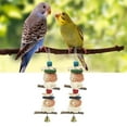 thumbnail image 4 of Bird Biting Toy, Easy To Install Relieve Boredom Natural Bird Chewing Toy Hanging Improve Mental Health  For Bird Cage Type A,Type B,Type C, 4 of 8