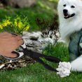 thumbnail image 1 of FUEENIRVA Conveniente Recogedor De Excremento Para Perros Con Mango Ergonómico Color Negro, 1 of 8