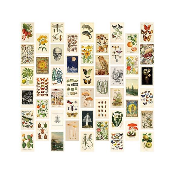 Vintage Aesthetic Wall Collage Kit - 50 Mini Botanical Cottagecore Collage Art Posters (4 x 6), for Trendy Photo Wall
