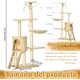 thumbnail image 2 of Árbol para Gatos, 5 Niveles Torre para Gatos con 9 Poste Rascador, Torre Árbol Rascador para Gatos con Escaleras, Casa para Gatos, Bolas Colges, Saltarines para Gatos (Beige, 48 x 34 x 138cm), 2 of 18