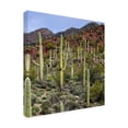 thumbnail image 2 of Trademark Fine Art 'Santa Catalina Mountains' Canvas Art by Mitch Catanzaro, 2 of 3