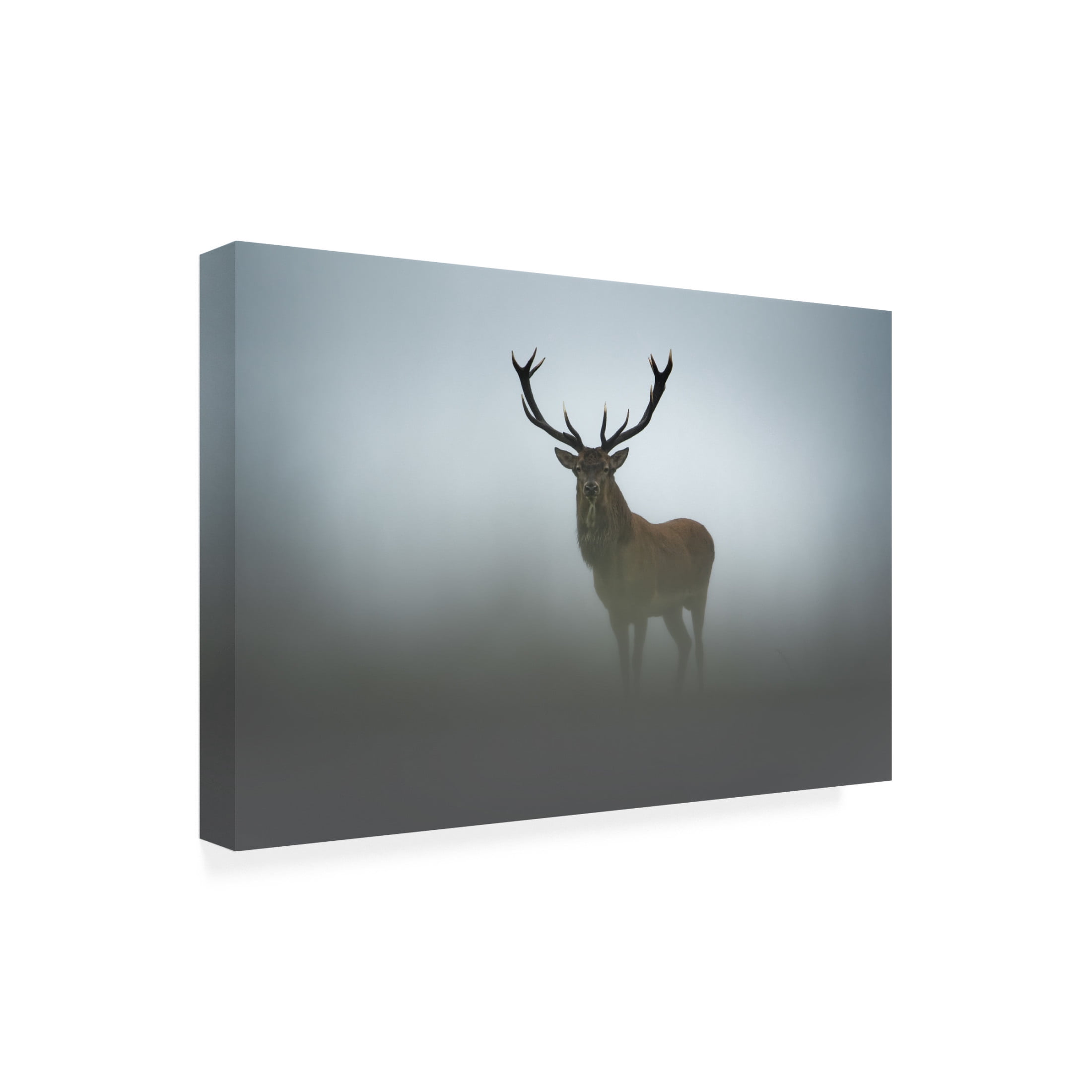 Trademark Fine Art Olga Rudchenko Ephemerality Canvas Wall Art