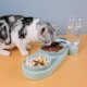 thumbnail image 3 of Pet Cat Double Bowl Alimentador automático Dog Cats Food Bowl Fuente de agua potable Tmvgtek Oficina Multiescena Multifunción, 3 of 7