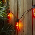 thumbnail image 2 of Northlight 10 Count Edison E17 Glass Patio Christmas Lights with 9 ft. Wire, 2 of 5