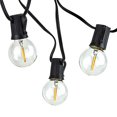 thumbnail image 1 of Newhouse Lighting PSTRINGLED50 Foot, 50 Socket Indoor/Outdoor String 55 LED Globe G40 (5 Free Bulbs Included), Wedding Lights, Decorations for Patios, Porches, Backyards, Decks, Bistros, 50ft, 1 of 2