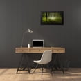 thumbnail image 4 of Maier, Norbert 24x14 Black Modern Framed Museum Art Print Titled - Early Fall, 4 of 5