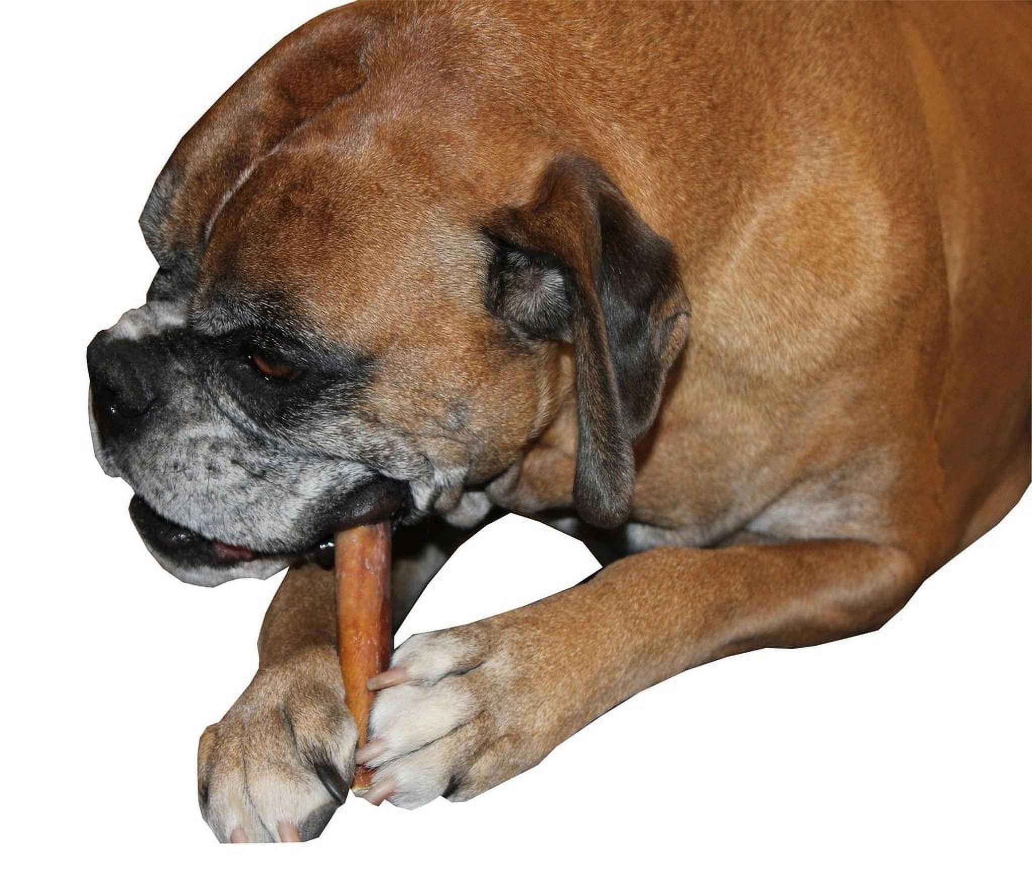 Downtown Pet Supply Jumbo Bully Sticks For Dogs 6" Thick Bully Stick 24 Pack