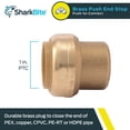 thumbnail image 2 of Tapa de empuje SharkBite U520LFA para instalación de fontanería de 1 pulgada, 2 of 5