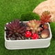 thumbnail image 2 of 1 juego de mini figuras de erizo, mini hongos decorativos de resina, figuras de animales pequeños, accesorios de jardín en miniatura., 2 of 6