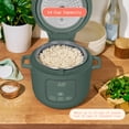 thumbnail image 5 of Beautiful 14-Cup Cooked, 6-Cups Uncooked Electric Rice and Grain Cooker, EverGood Ceramic Nonstick Coating, Thyme Green by Drew Barrymore, 5 of 18