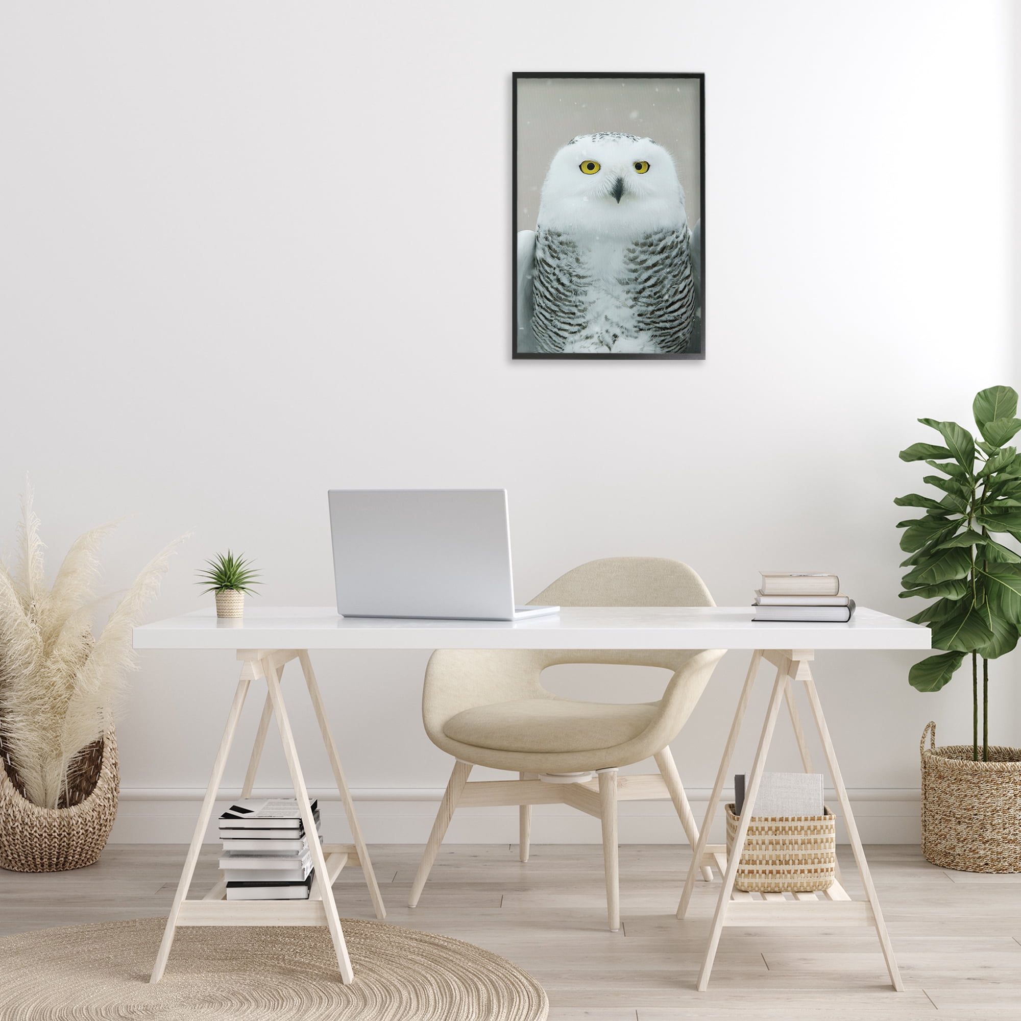 Stupell Industries Snowy Owl Portrait Animals & Insects Photography Black Framed Art Print Wall Art, 16 x 24