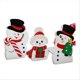 thumbnail image 1 of Lovely Winter Decoration Indoor Tray Decoration Home Shelf Display, 1 of 5