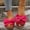 Hot Pink, variant on Womens Slip On Loafers Round Toe Knit Design Flat Sole Shoes for Women Casual Walking Sneakers Flats US :6