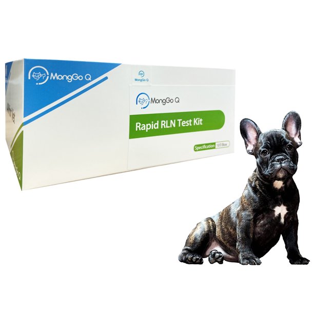 MONGGO Q Pet Rapid Canine Pregnancy Relaxin RLN Auxiliary Diagnostic