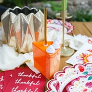Packed Party "Pie Time" Pumpkin Pie Novelty 13oz Cup