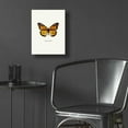 thumbnail image 5 of Epic Art 'Yellow Butterfly' by GraphINC, Acrylic Glass Wall Art, 12"x16", 5 of 8