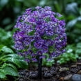 thumbnail image 5 of ZORVINEX Artificial Flowers for Garden Decoration | Waterproof Faux Plants for Outdoors | Perfect for Porch and Patio Decor Purple, 5 of 7