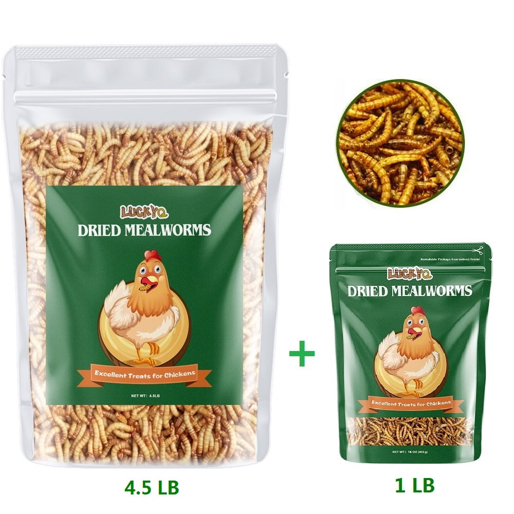 Fish High-Protein Bulk Mealworms 22Lbs 100% Non-GMO Mealworm Treats for Birds Turtles Chickens LUCKYQ Dried Mealworms Hamsters and Hedgehogs All Natural Animal Feed 