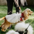 thumbnail image 2 of HQREA White Dog Dress Tutu Princess Skirt with Bowknot Party Wedding Costume for Puppy, 2 of 6