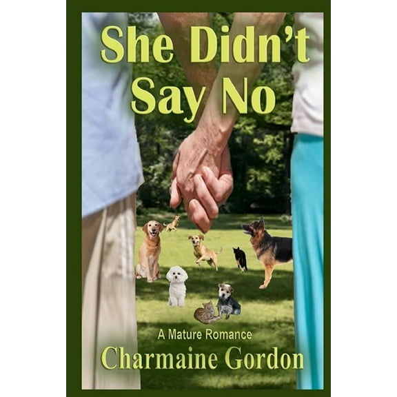 The Beginning... Not the End: She Didn't Say No (Paperback)