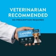 thumbnail image 6 of CAPSTAR (Nitenpyram) Fast-Acting Oral Flea Treatment for Small Dogs (2-25 lbs), 6 Tablets, 11.4 mg, 6 of 11