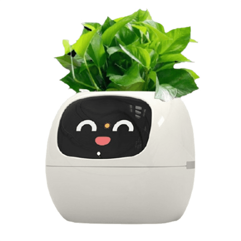 ferm living plant box tablett Ferm Living - Plant Box - Round main image 0