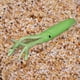 thumbnail image 5 of Pesca en el mar azul calamar cebo suave gancho de cuerda de pesca, 5 of 5