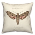 thumbnail image 2 of Creative Products Vintage Moth Diagram 18x18 Spun Poly Pillow, 2 of 3