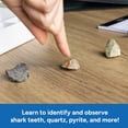 thumbnail image 4 of Educational Insights Complete Rock, Mineral, and Fossil Collection, STEM Kits for Kids, 4 of 6