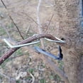 Fruit Tree Limb Spreaders Plant Tying Machine Puller Branchs Preaders ...