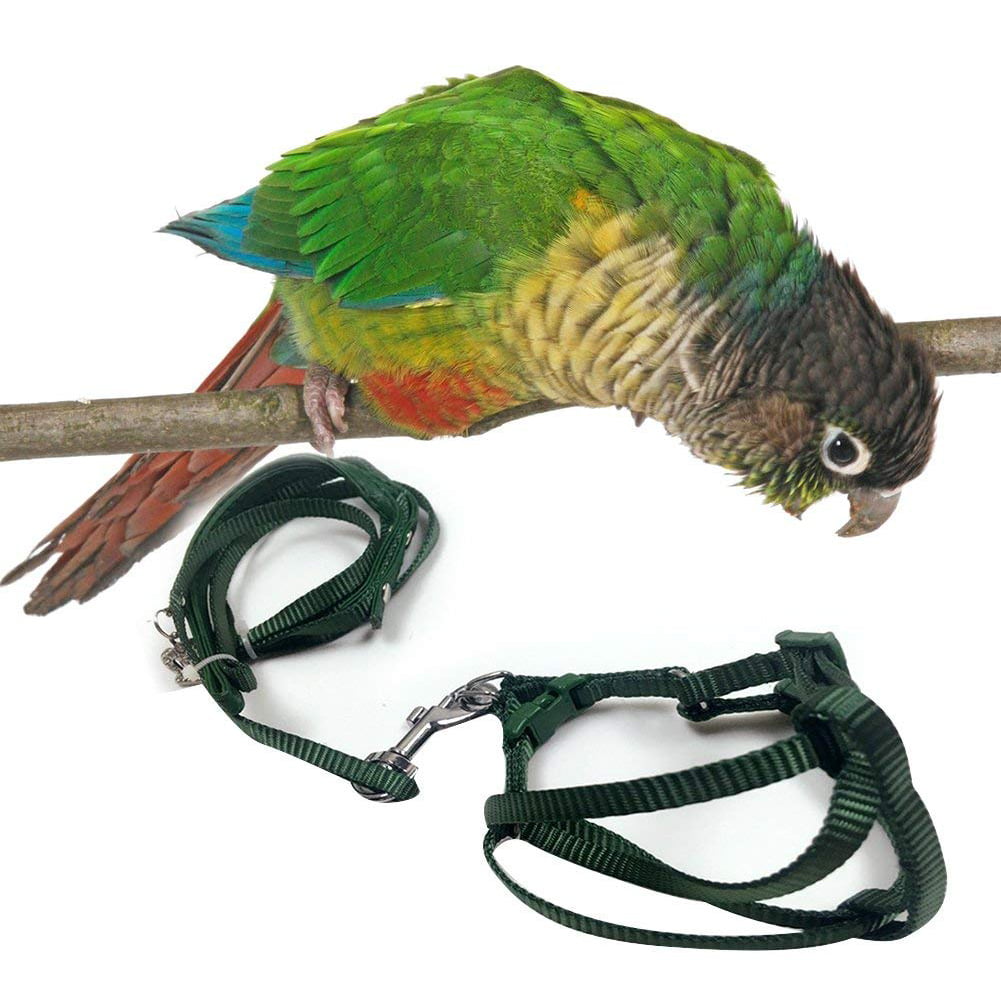 Yellow TBWHL Adjustable Parrot Bird Harness Leash Set Anti-bite Training Harness for Parrots Outdoor Flying Rope for Cockatiel Small Birds