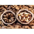 thumbnail image 7 of Dry Roasted Brazil Nuts with Himalayan Salt, 3 Pounds — Kosher, Vegan — by Food to Live, 7 of 7