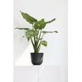 thumbnail image 3 of Ecopots Oslo 8.47" Round Dark Grey Recycled Plastic Flower Pot with Durable indoor/Outdoor Planter, 3 of 4
