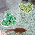 thumbnail image 4 of unbranded 5Ud Anillos De Planta Para Acuario Con Estable Y, 4 of 8