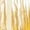 Gold, variant on Girls Jazz Dance Outfits Long Sleeve Sequin Tassels Jacket Bell-bottom Metallic Pants for Performance Silver 6