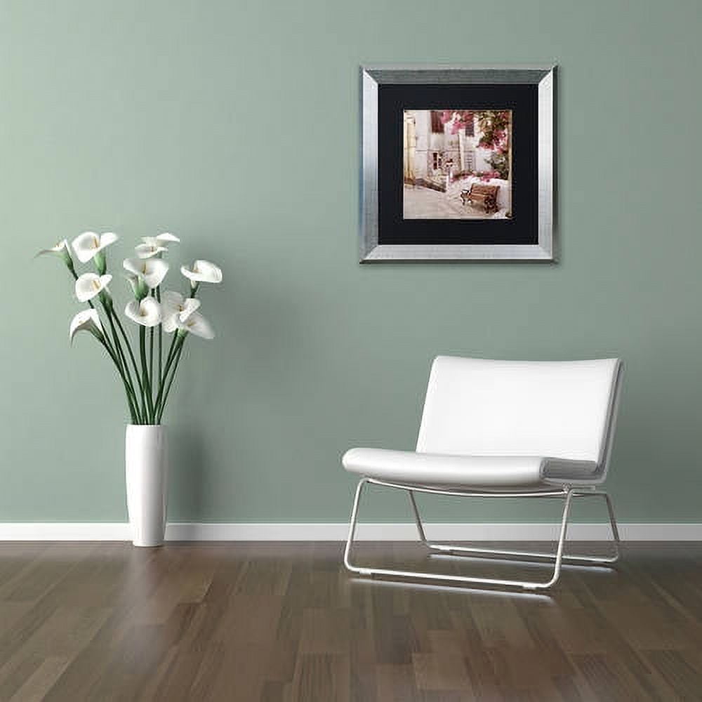 Trademark Fine Art "Provence I" Canvas Art by Alan Blaustein, Black Matte, Silver Frame