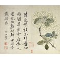 thumbnail image 1 of Hydrangeas Poster Print by Yun Shouping (20 x 24), 1 of 1