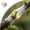 Clear1, variant on Grafting Tape, Tree Tape Grafting Kit Stretchable Gardening Tape Repair Budding Grafting Tape for Fruit Trees and Floral Tree Grafting Supplies(Green)