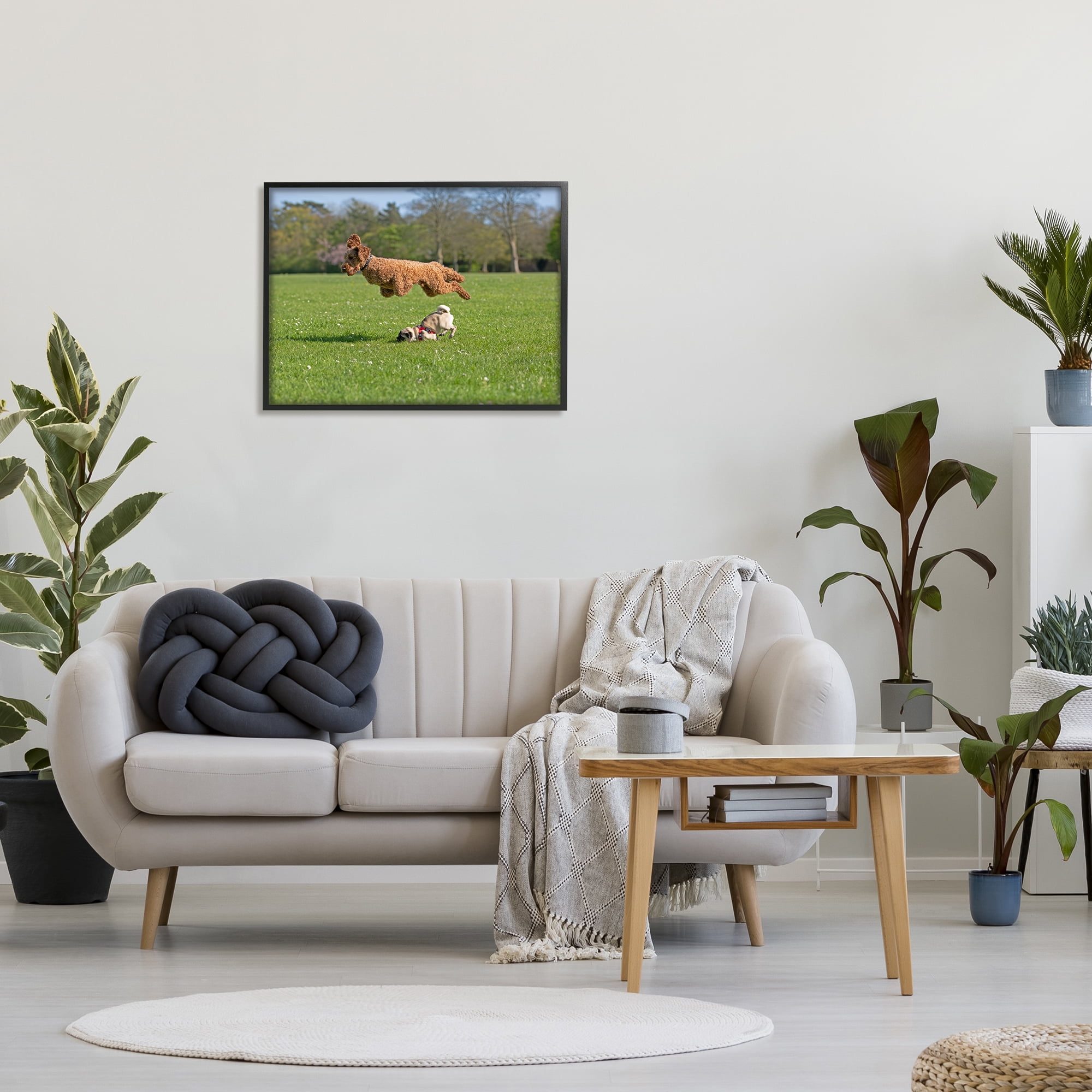 Stupell Industries Jumping Dogs in Field Animals & Insects Photography Black Framed Art Print Wall Art, 30 x 24