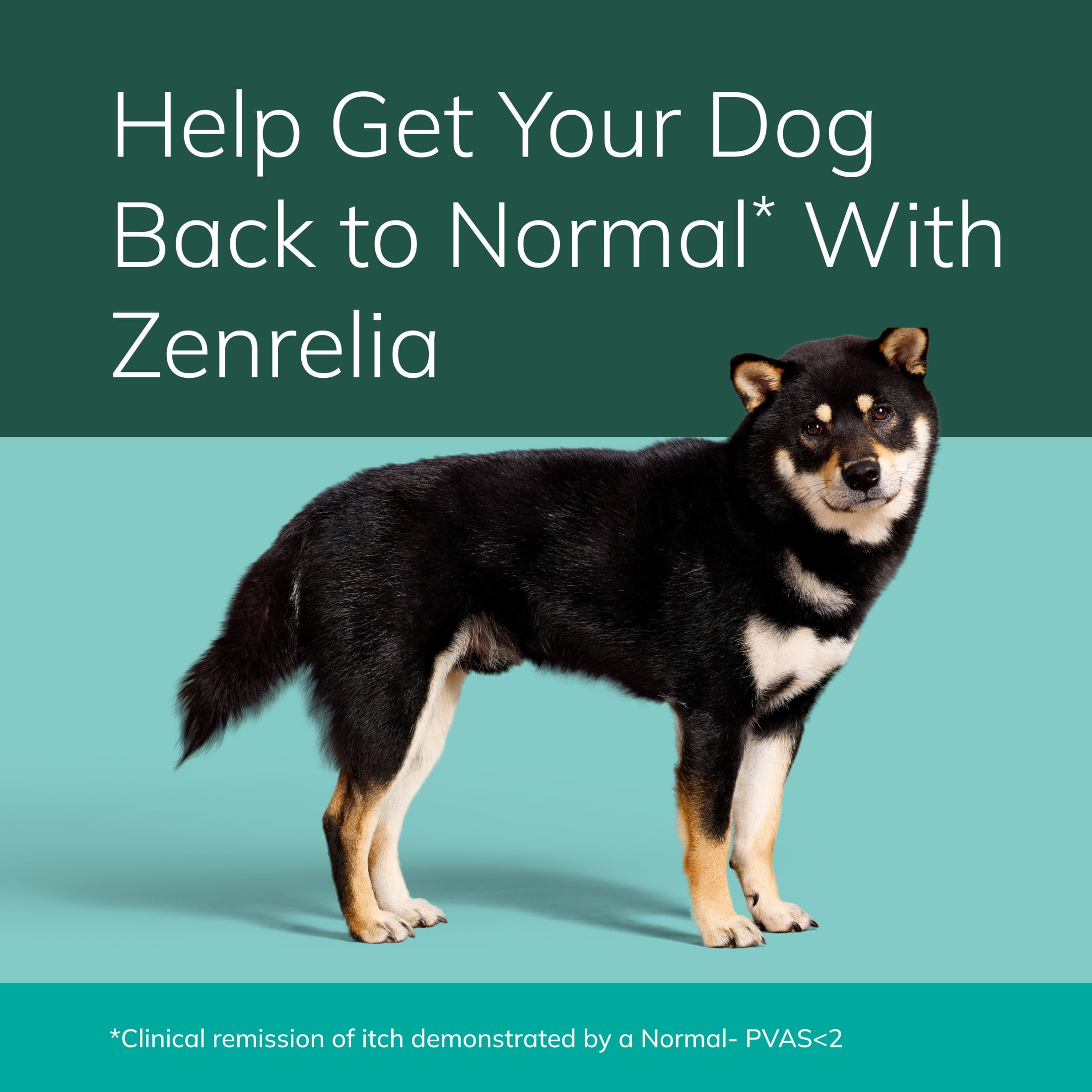 Zenrelia (Ilunocitinib Tablet) Once Daily Prescription Itch Relief for Dogs 8.5 mg