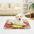 thumbnail image 6 of Pet Cooling Pad Foldable Self Cooling Mat Breathable Pet Cushion Sleep Pad for Dogs and Cats Red and Yellow Explosion M, 6 of 9
