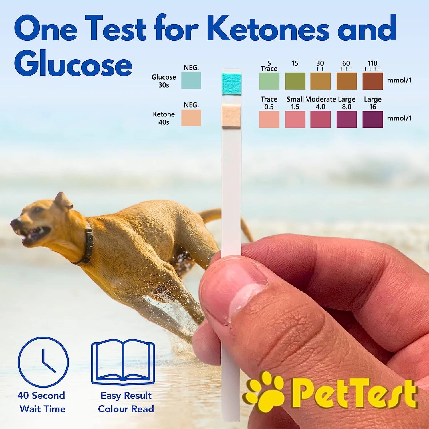 Sugar in hotsell dogs urine