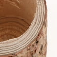 thumbnail image 4 of Tree tump Flower Pot,Bonsai Flower Pot,Wooden Planter Vase,Tree tump Candle Holder,Wooden Tea Light Candle Holder,ucculent Plants Pot,Wooden Flower Vase,Tealight Candle Holder,Tabletop S, 4 of 6