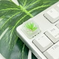 thumbnail image 4 of YongCo High Transparency Resin Keycap for Mechanical Keyboard Highlighting Pine Blossom, 4 of 12