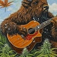 thumbnail image 5 of Autua Bison Guitar Marijuana Shower Curtain Set with Hooks 100% Polyester 69"x72, 5 of 7