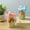 Blue, variant on AQITTI On the Go Yogurt Parfait Snack Cup with Lid 100% Leak Proof, Reusable Travel Container with Spoon + Fruit & Granola Holder for To Go Cereal, Overnight Oats, Chia Pudding Jar,13.5 oz Blue