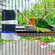 thumbnail image 1 of Comedero Automático para Pájaros y Bebedero para Jaulas, Bebedero de Plástico con Clip para Loros, Periquitos, Agapornis y Cacatúas, 10 X 14 X 6 Cm, 1 of 7