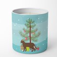 thumbnail image 4 of Carolines Treasures CK4726CDL 3.75 x 3.25 in. Unisex Suphalak Cat Merry Christmas 10 oz Decorative Soy Candle, 4 of 5