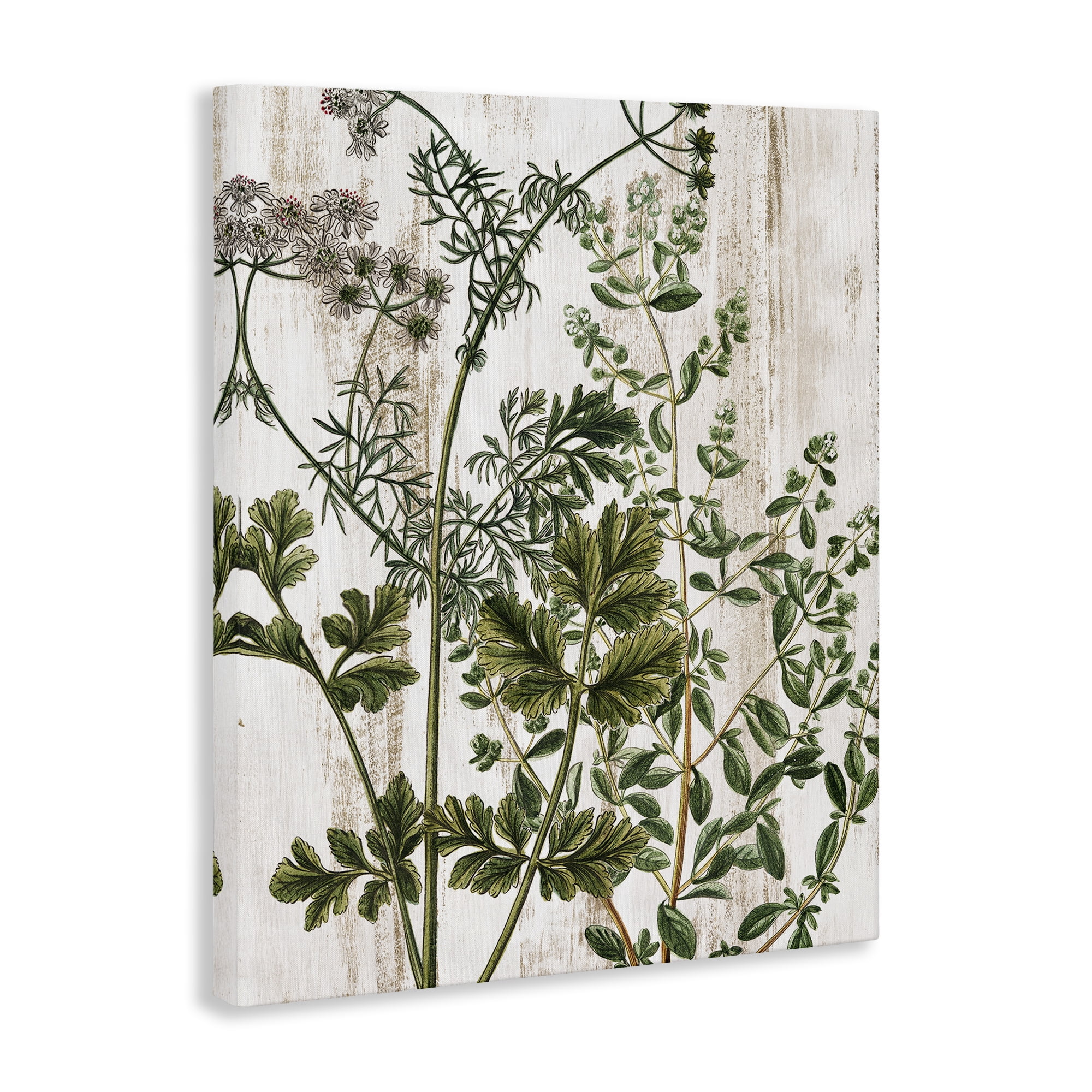 Stupell Industries Botanical Greenery Pattern Botanical & Floral Painting Gallery Wrapped Canvas Art Print Wall Art, 16 x 20